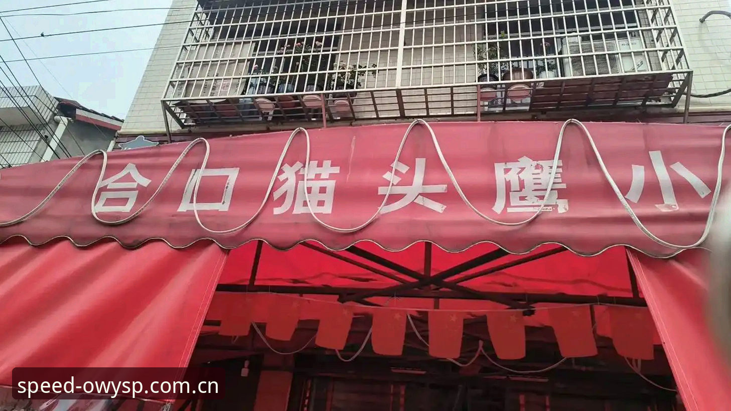 揭秘猫头鹰体育直播平台：老用户三年使用体验背后的真相